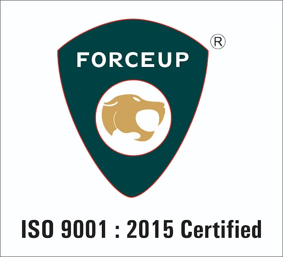 Forceup Security Services and Detective Bureau pvt ltd