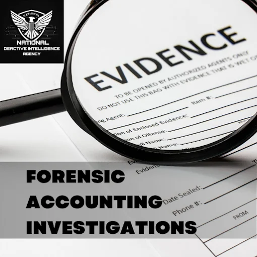 National Detective Intelligence Agency