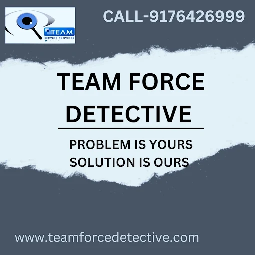 TEAM FORCE DETECTIVE AGENCY